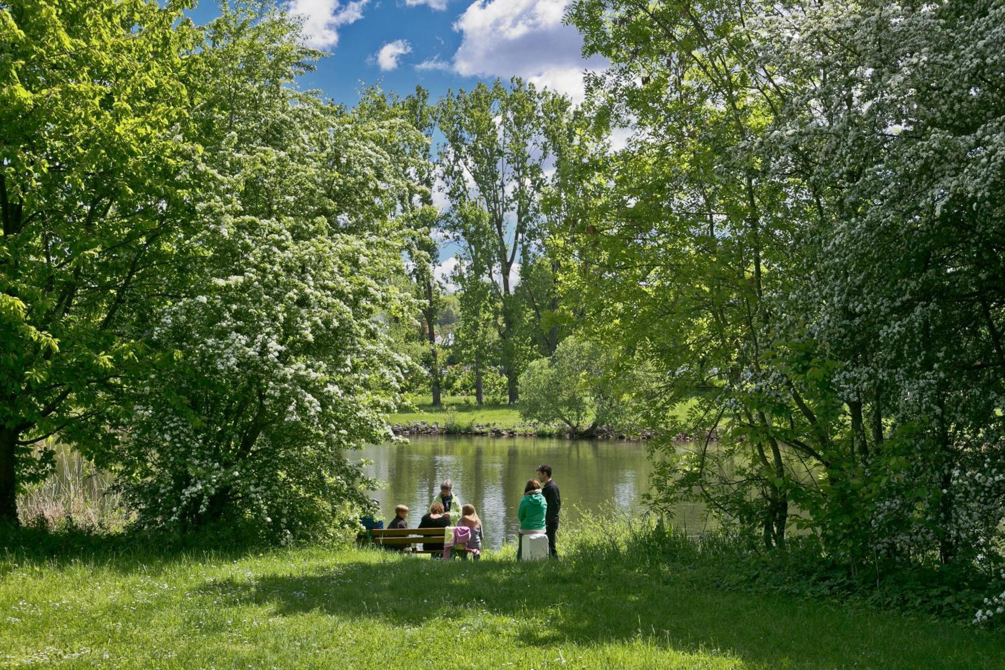 פריקנהאוזן אם מיין Knaus Campingpark Frickenhausen מראה חיצוני תמונה